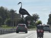 Südfrankreich