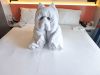 Norwegen